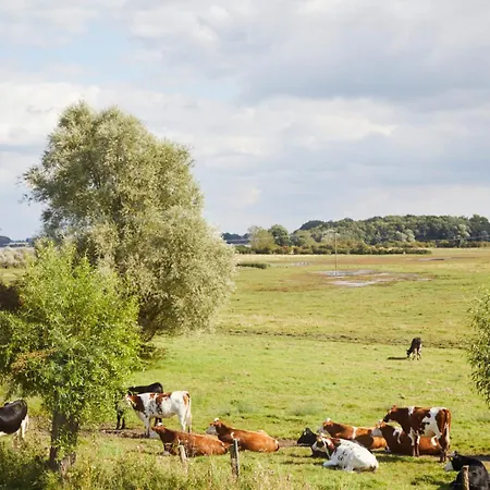 شقة Bades Huk Ferien-resort *